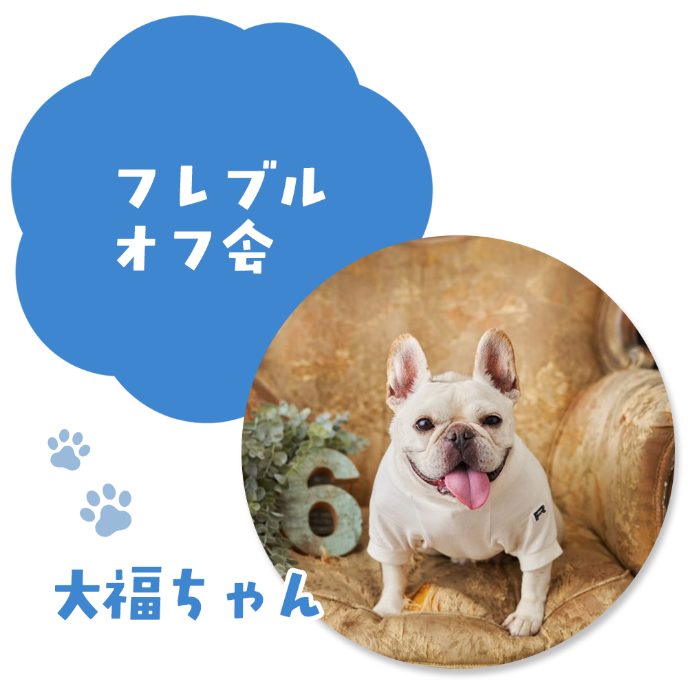 フレブルオフ会 大福ちゃん