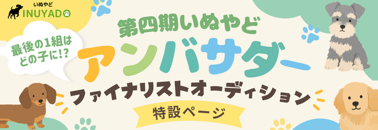 いぬやどアンバサダーファイナリストオーディション