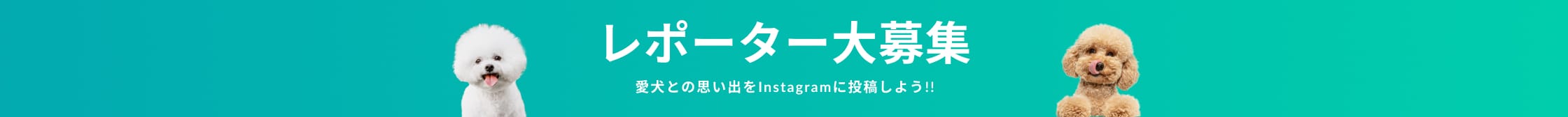 レポーター大募集　愛犬との思い出をInstagramに投稿しよう！！