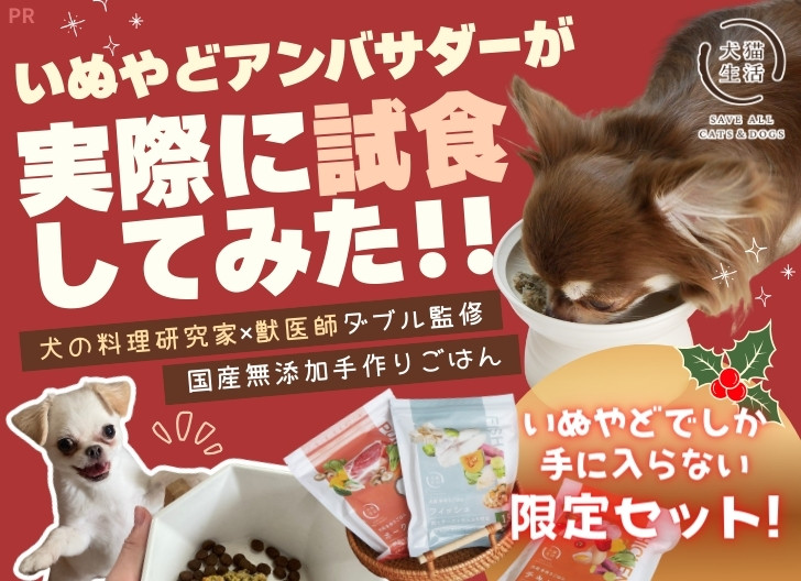 犬猫生活　いぬやどアンバサダーが実際に試食してみた！