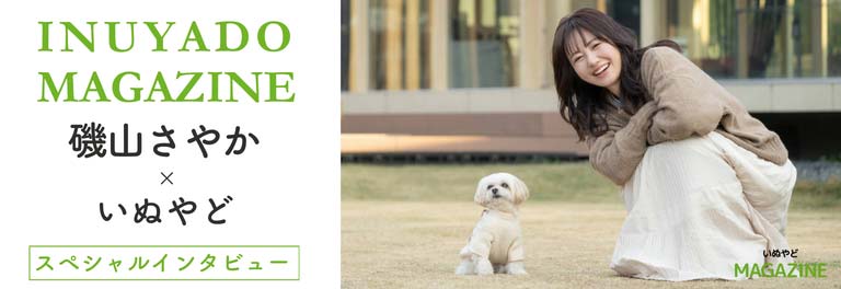 いぬやどマガジン