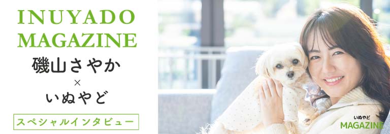 いぬやどマガジン