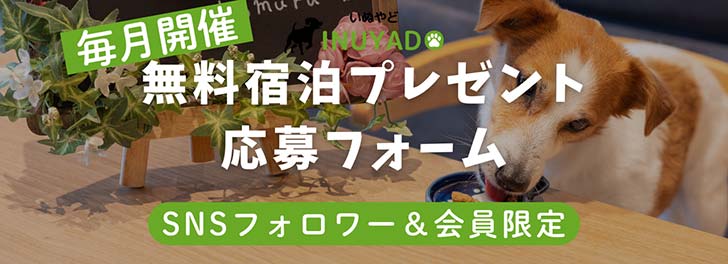 無料宿泊プレゼント応募フォーム