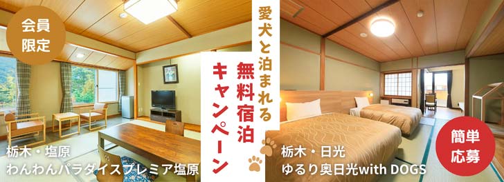 会員限定無料宿泊キャンペーンプレゼントバナー