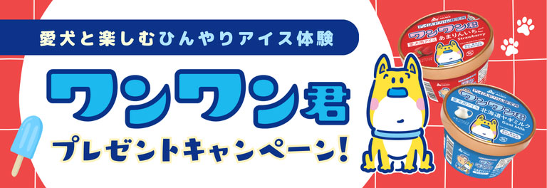 【赤城乳業×いぬやど】愛犬と楽しむひんやりアイス体験！『ワンワン君』をプレゼント！