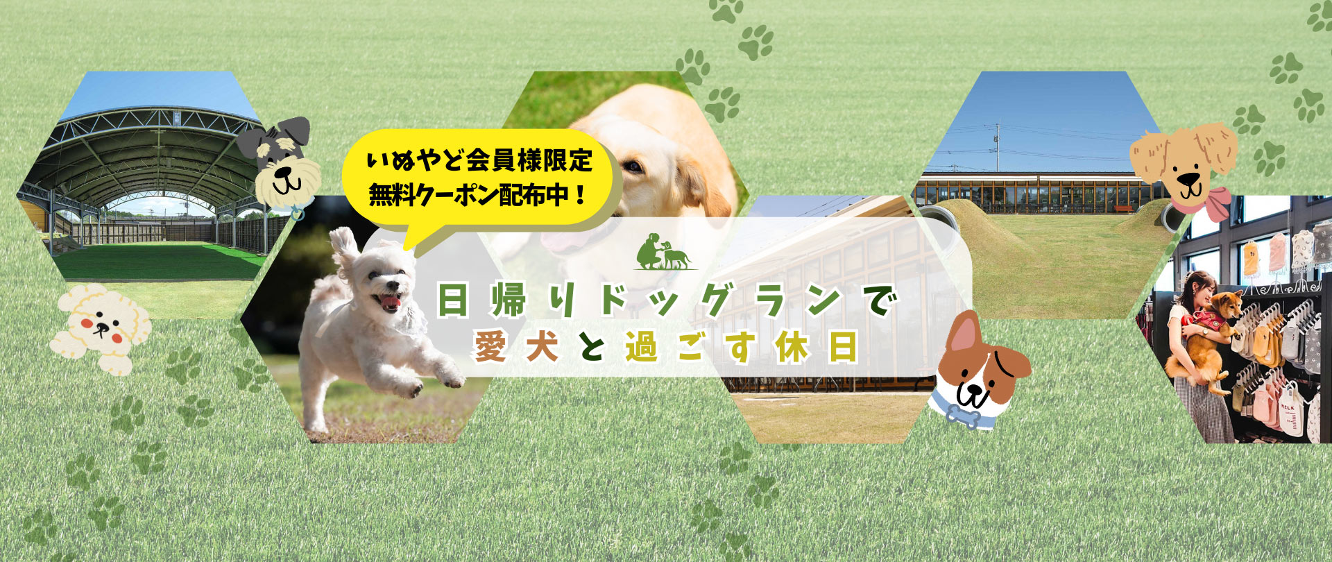 会員限定無料ドッグラン