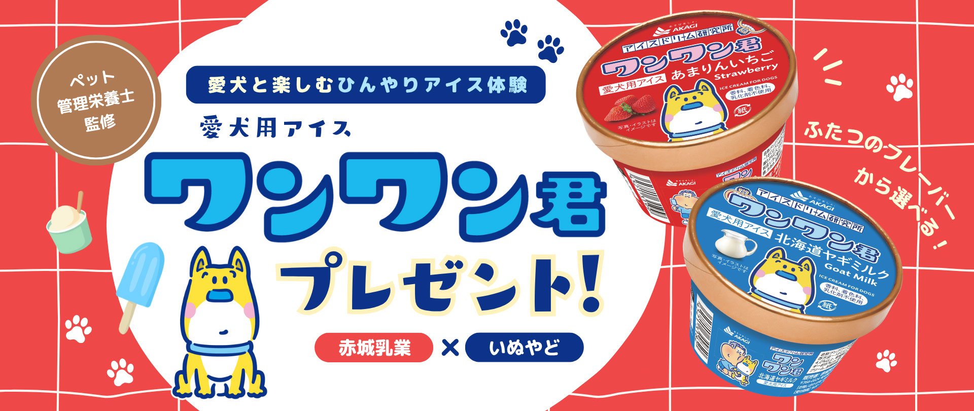 【赤城乳業×いぬやど】愛犬と楽しむひんやりアイス体験！愛犬用アイス『ワンワン君』プレゼント！