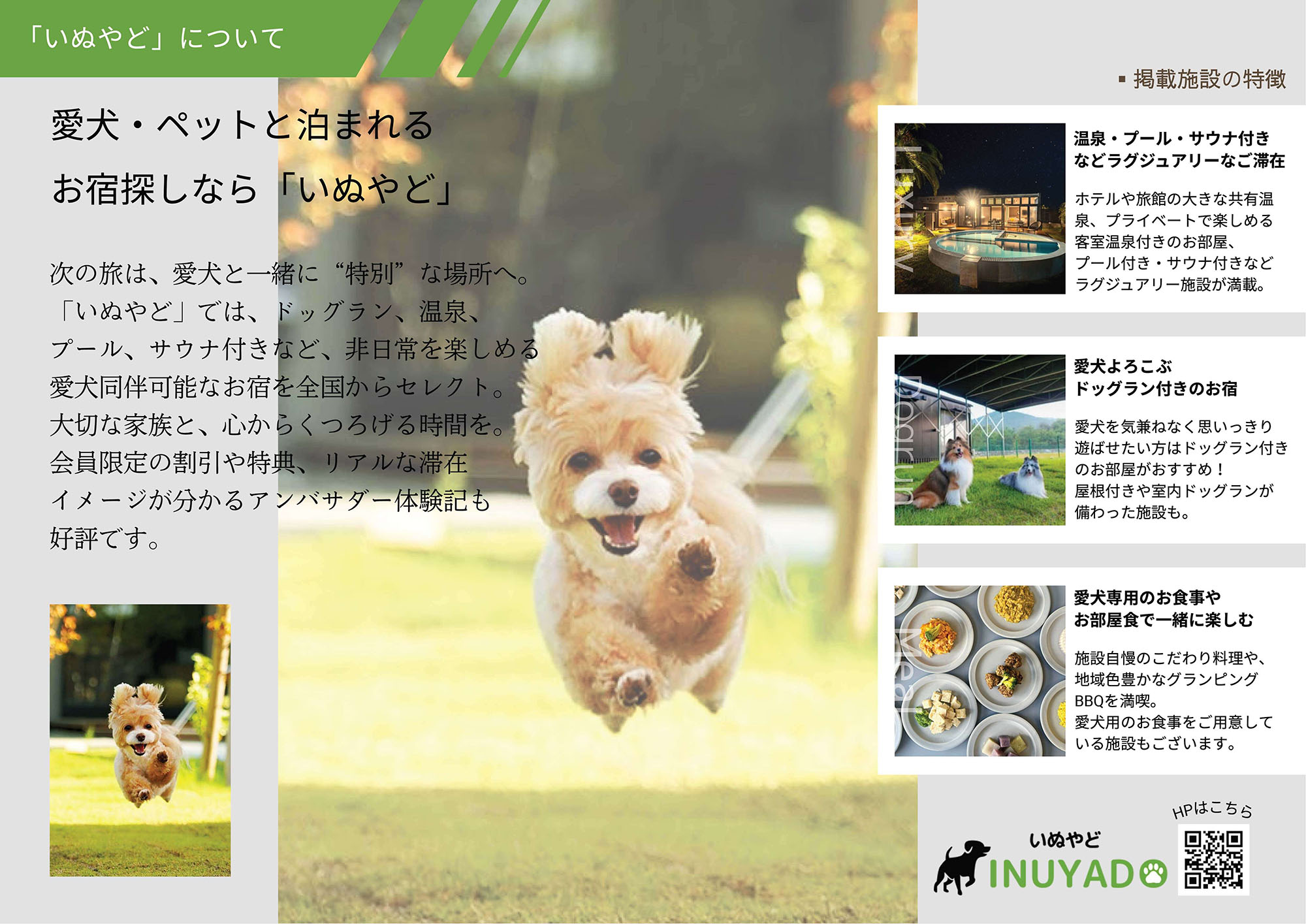 いぬやどマガジン