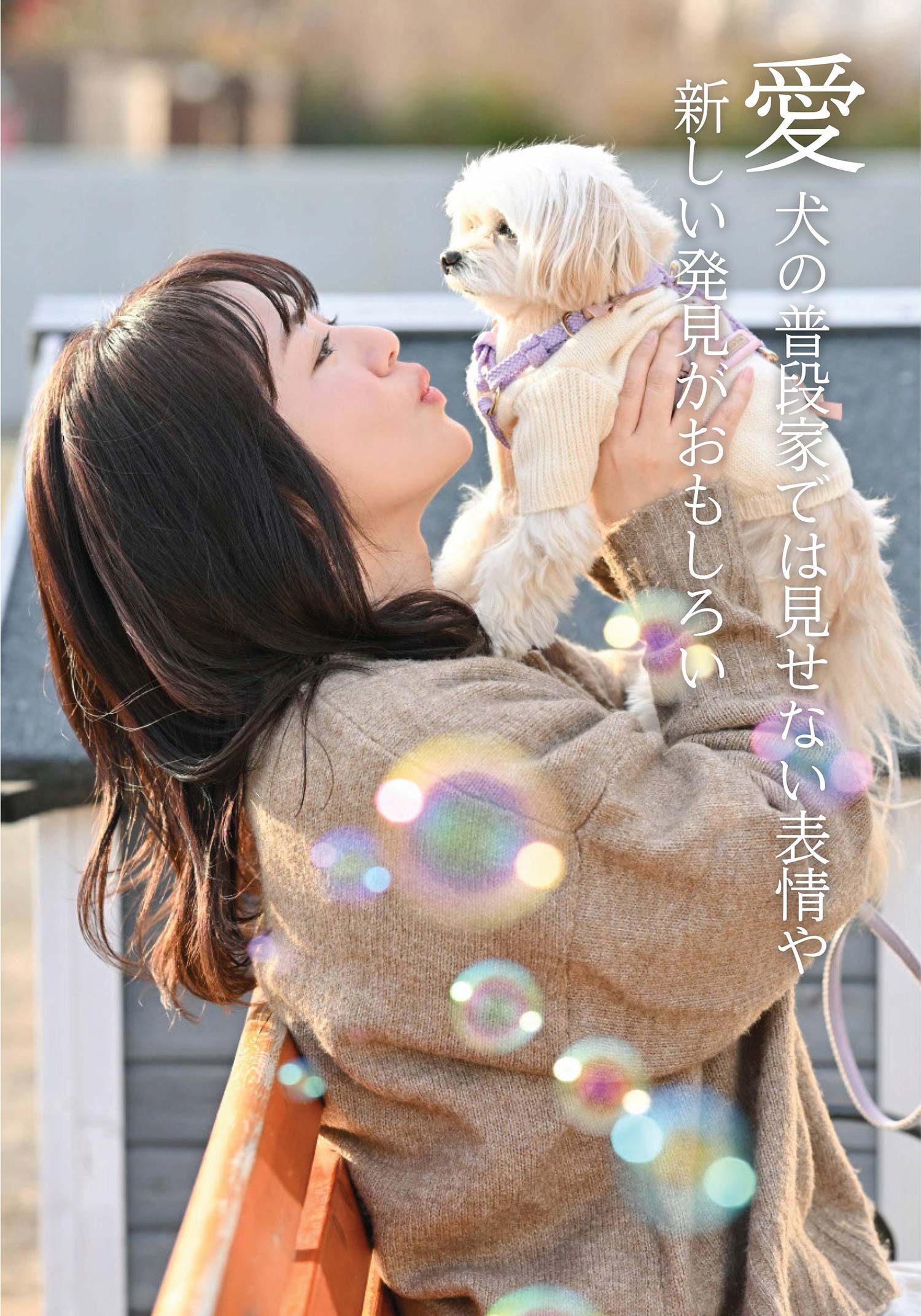 いぬやどマガジン