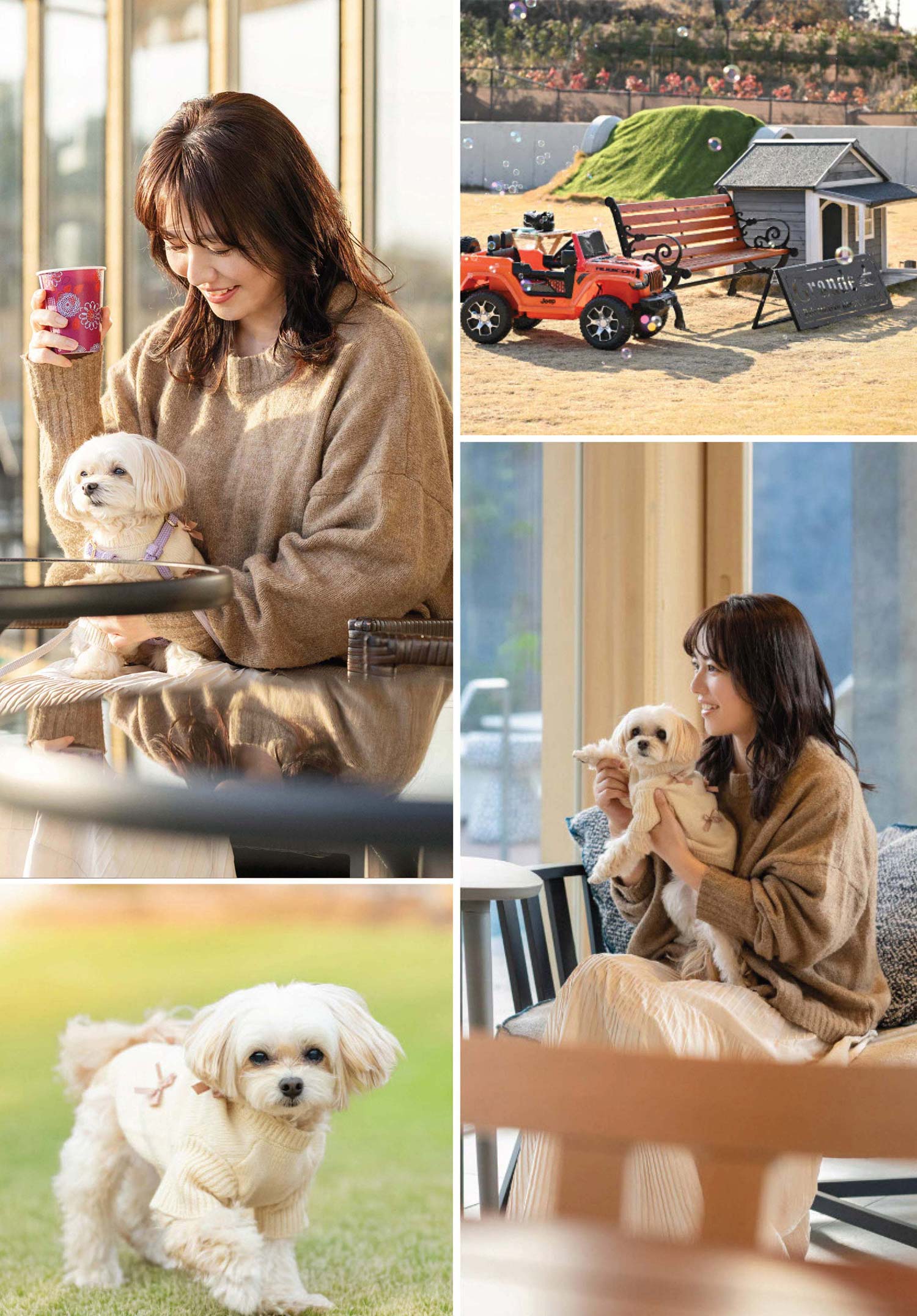 いぬやどマガジン