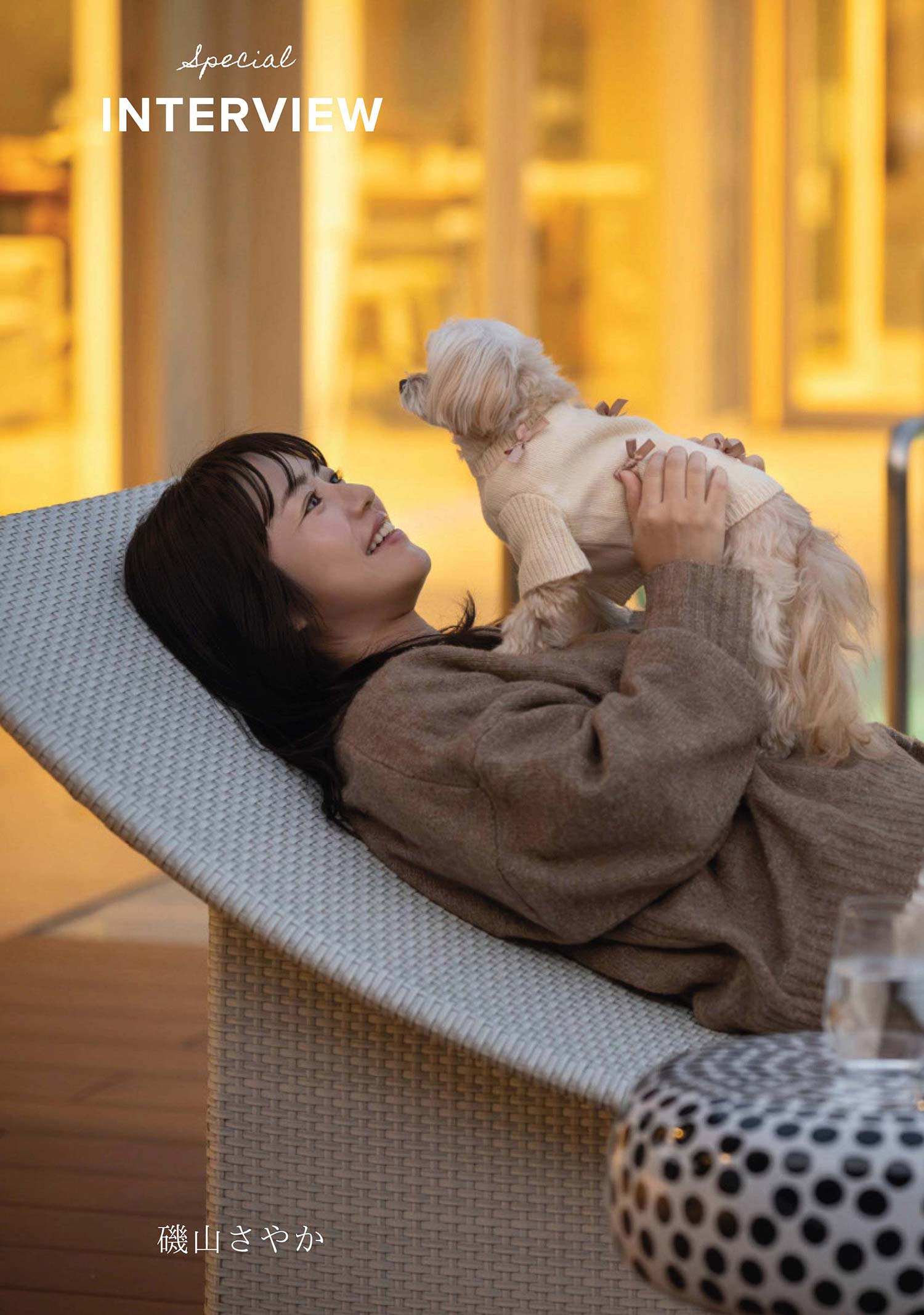 いぬやどマガジン