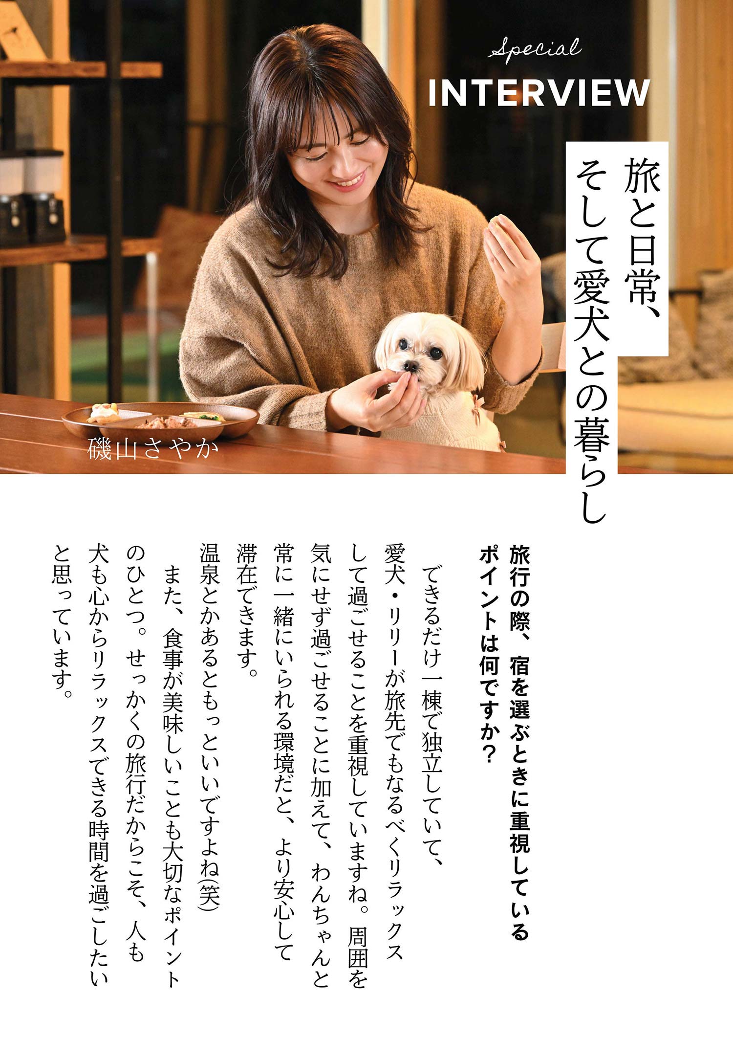 いぬやどマガジン