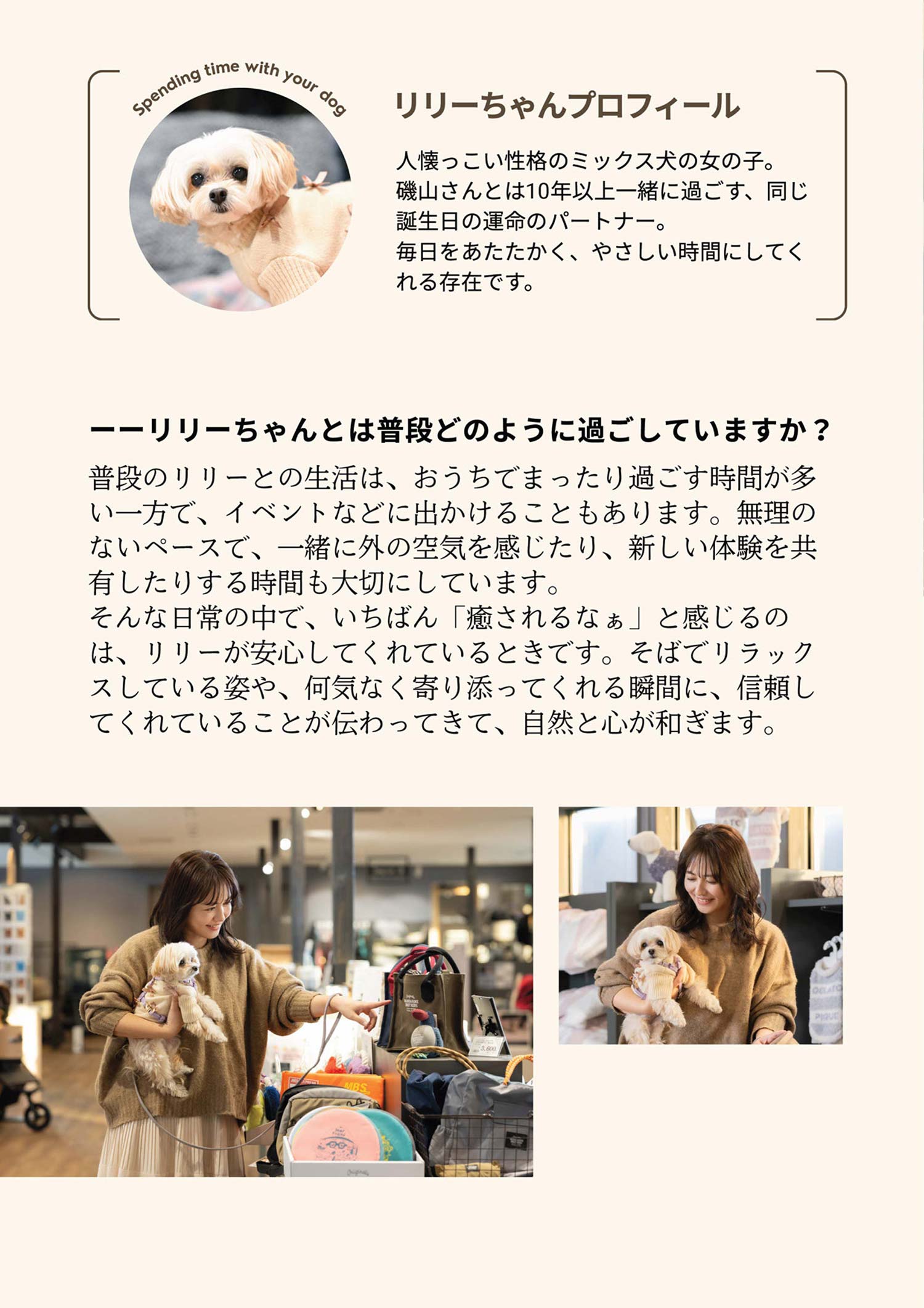 いぬやどマガジン