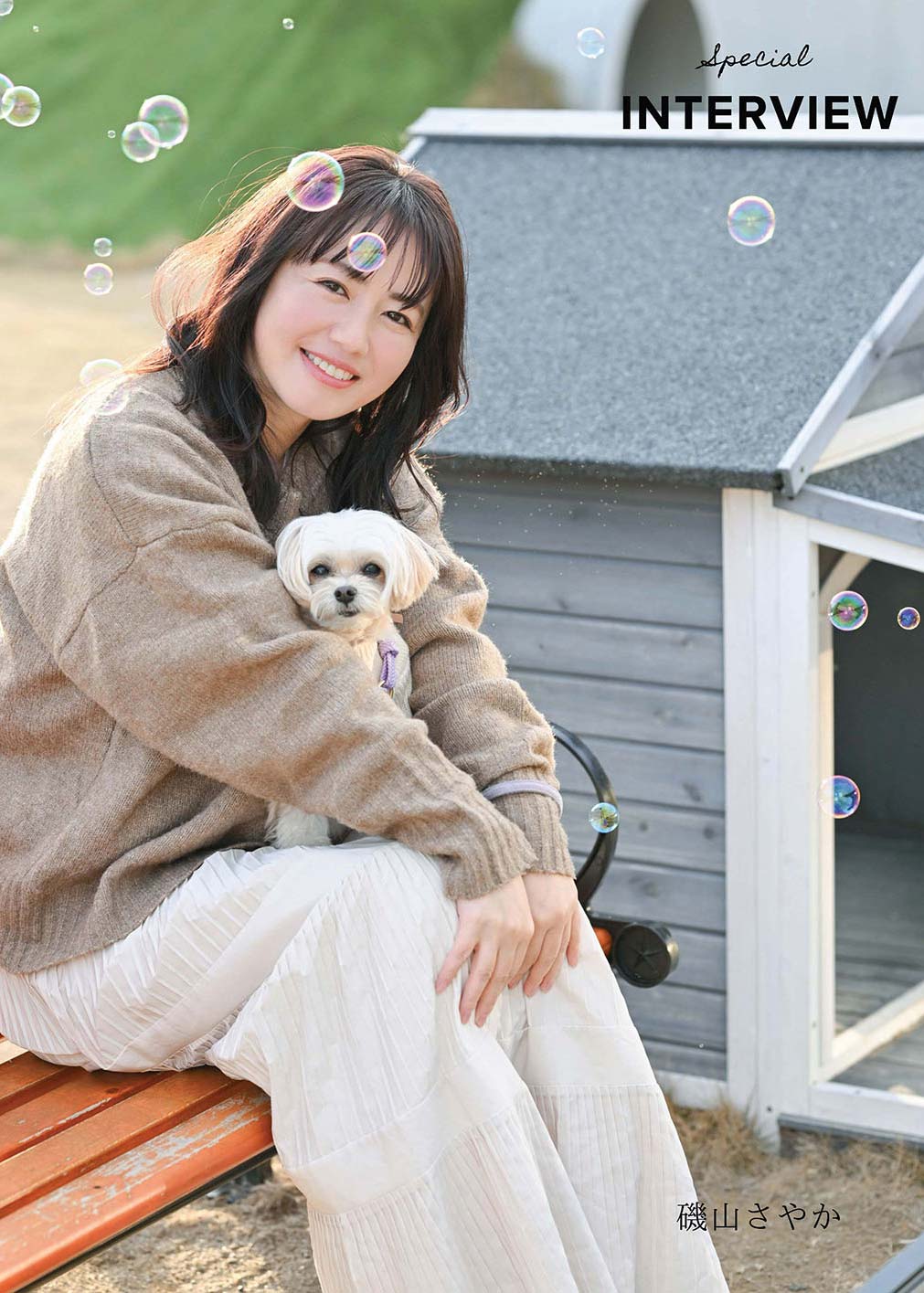 いぬやどマガジン