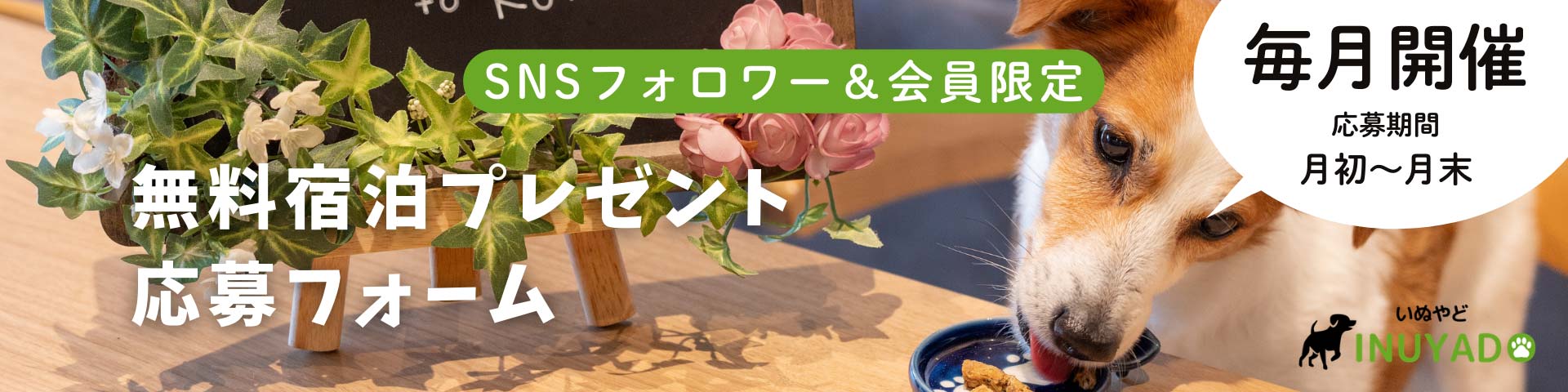 毎月開催!2組無料抽選会