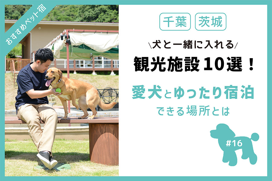 千葉 茨城で犬と一緒に入れる観光施設10選 愛犬と泊まれるお宿探しなら いぬやど ペット同伴専門宿泊予約サイト