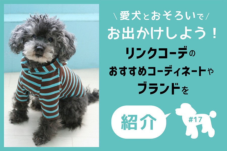 京都 広島 愛犬とおそろいでお出かけしよう 愛犬と泊まれるお宿探しなら ドッグトラベル わんちゃん同伴専門宿泊予約サイト