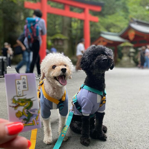 箱根神社・九頭龍神社