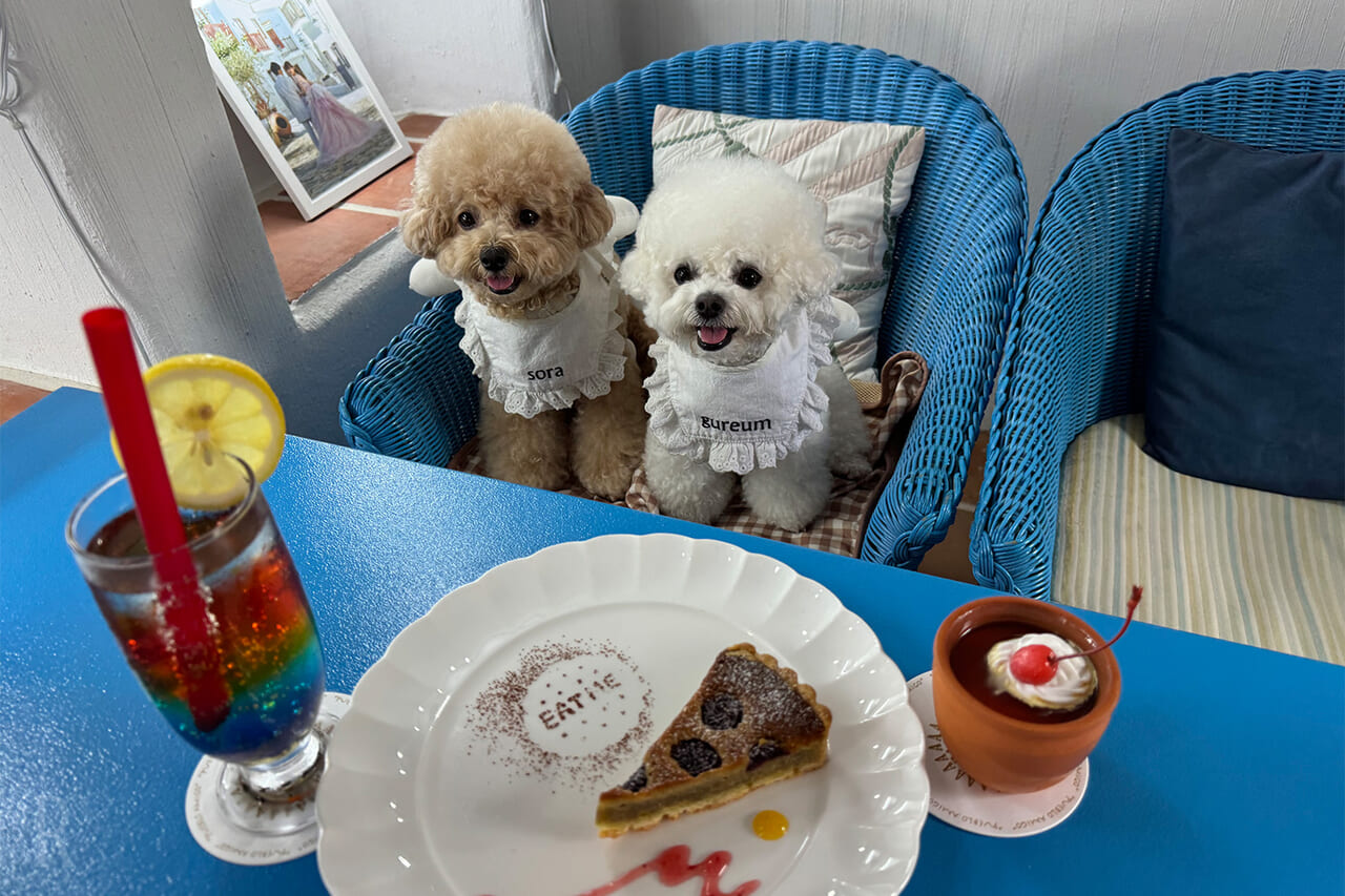 店内席でも犬同伴できるお店