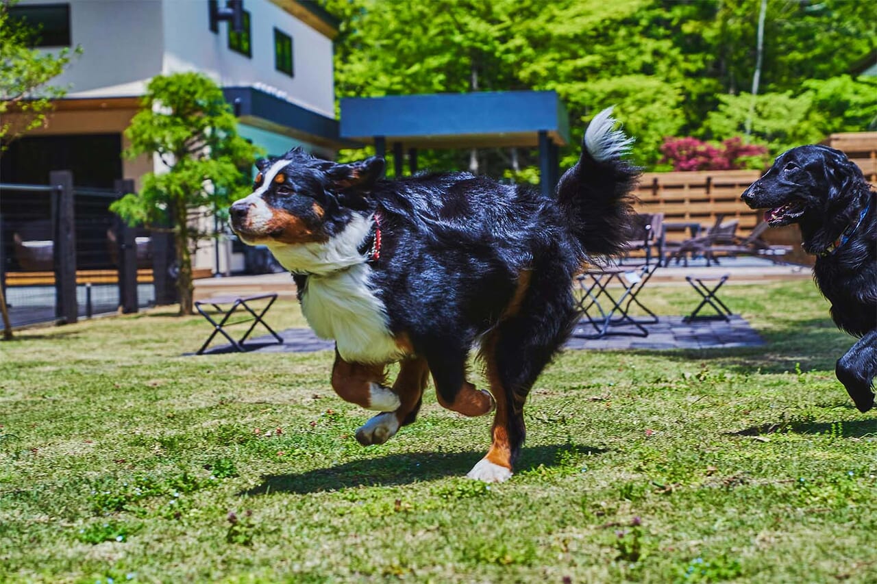 4頭まで同伴無料、愛犬家に嬉しい宿