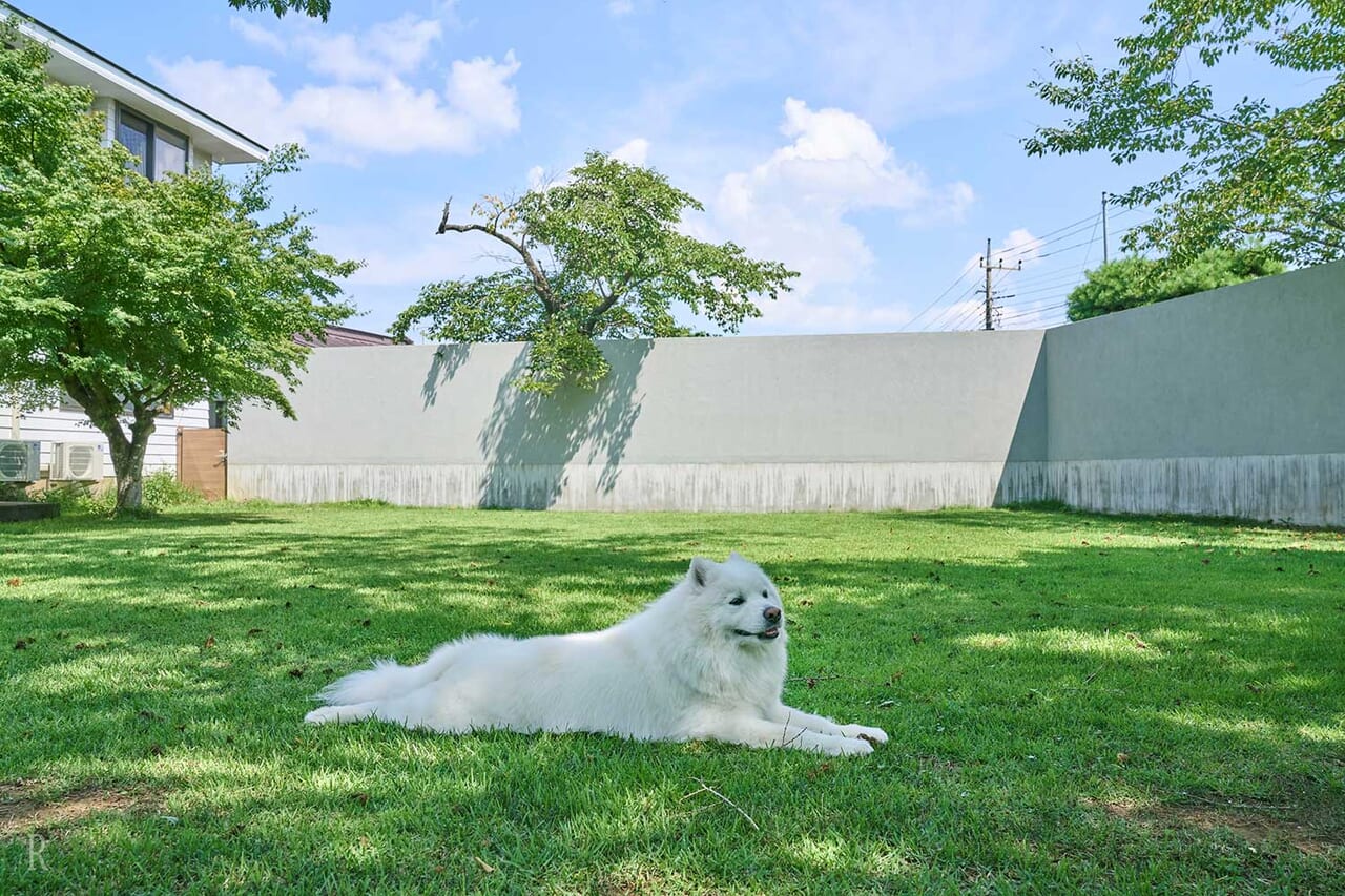 愛犬との思い出づくりに