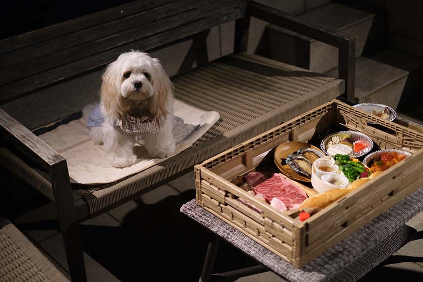 BBQの食材と愛犬のパン