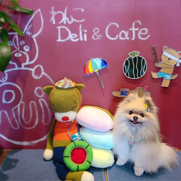 わんこDeli＆cafe Ruiのフォトスポットで写真を撮ってもらうポメラニアン
