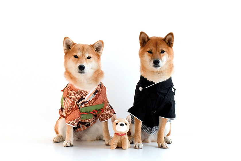 愛犬との参拝時に守るべき3つのこと