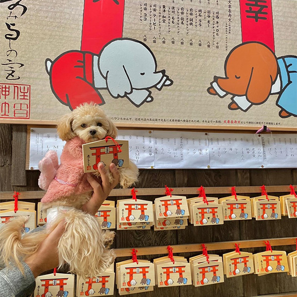 愛犬と初詣できる小野住吉神社