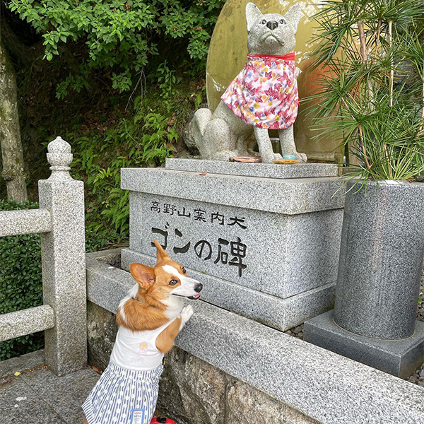 愛犬と初詣できる慈尊院