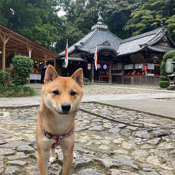 立木観音での一枚