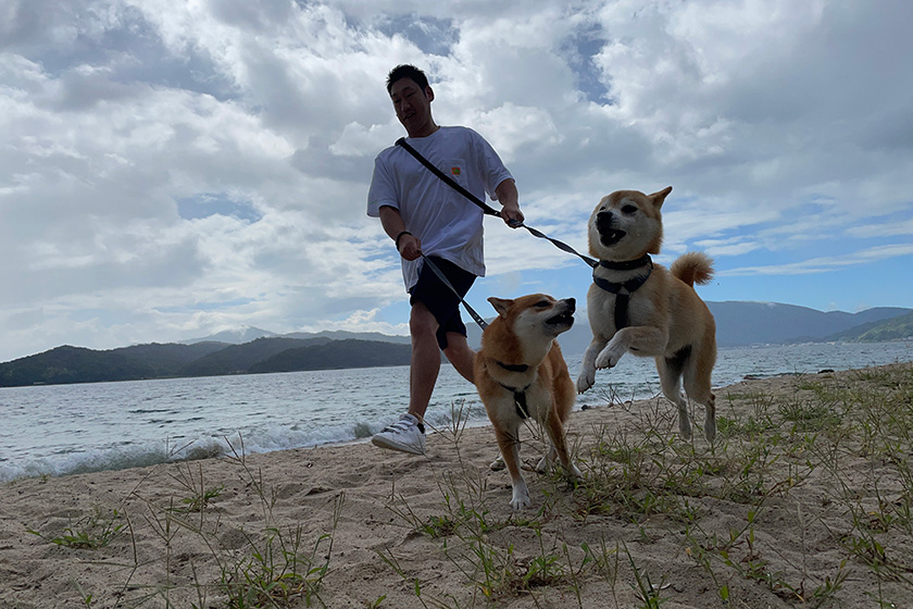 海辺を散歩する飼い主とわさびともずく