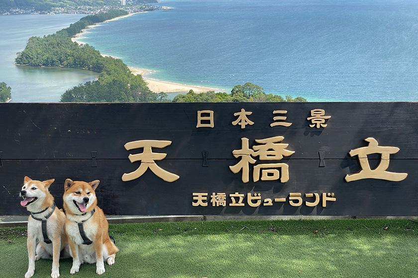 わさびともずくの天橋立の看板の前での一枚