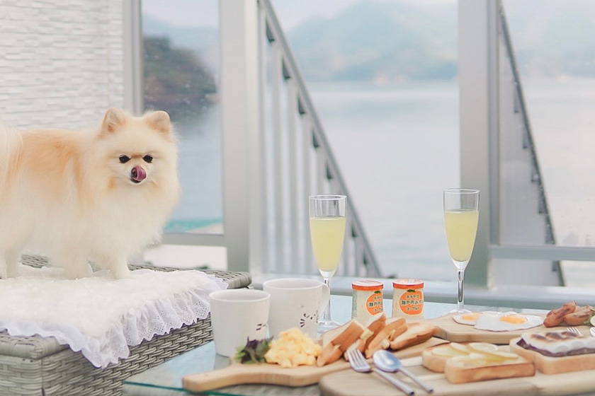 海を一望する展望テラスで ぽぽと朝食を