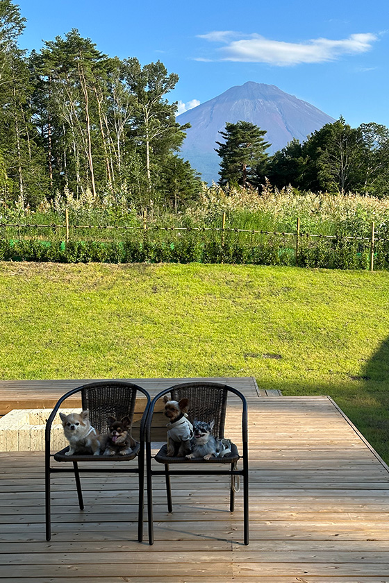ドッグランから見える富士山の前で記念撮影
