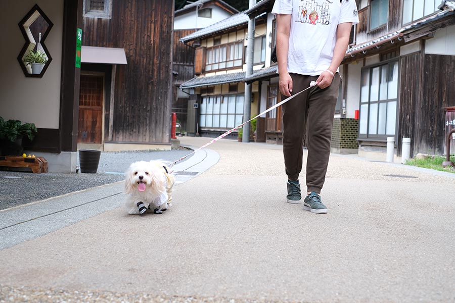 観光名所「伊根の舟屋」までも車で15分