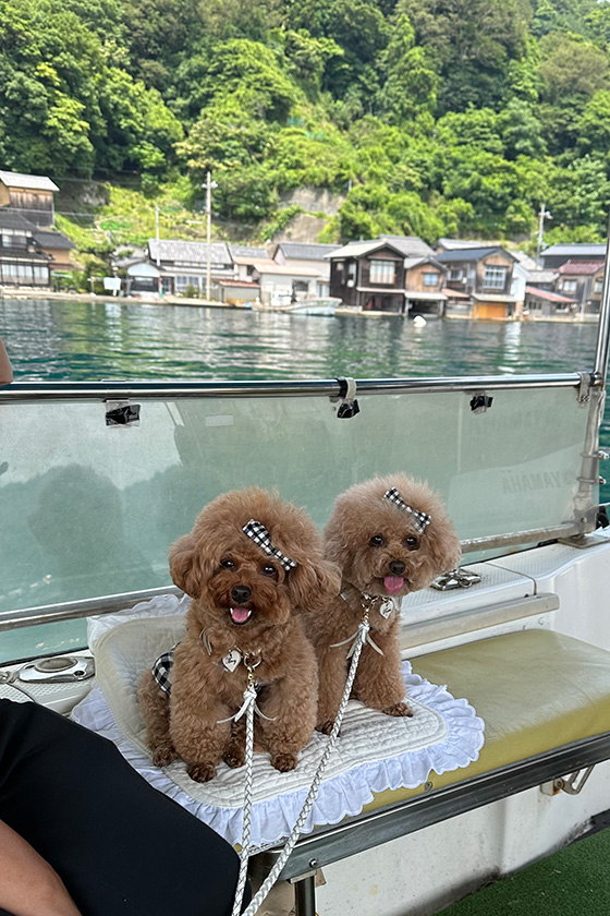 伊根町の遊覧船で楽しそうなメリルル