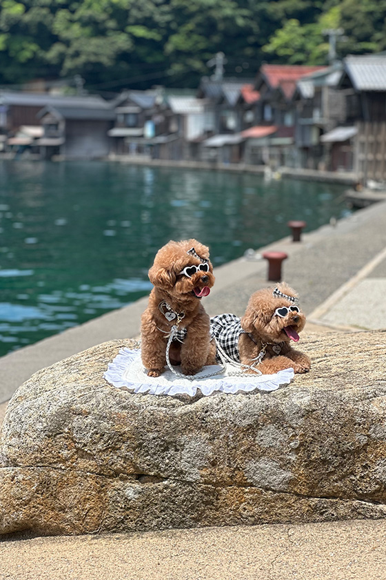 素朴な街並みとディープブルーの海とメリルルのおしゃれな一枚