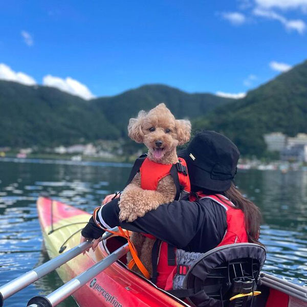 ママと一緒にカヌーを楽しむトイプードル