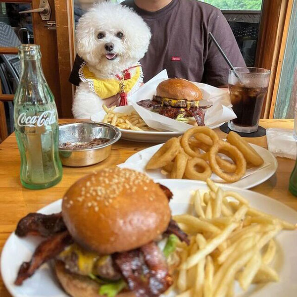 100%ビーフで作るグルメバーガー『ムースヒルズバーガー』