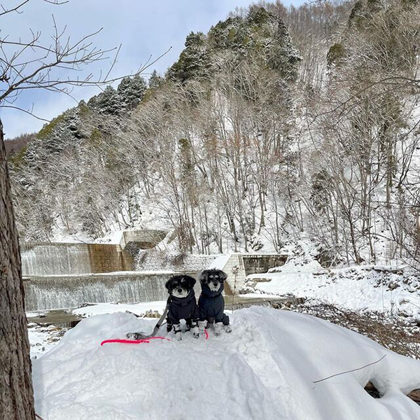 あそんちゅスタイル アドベンチャーズの雪景色の中記念撮影