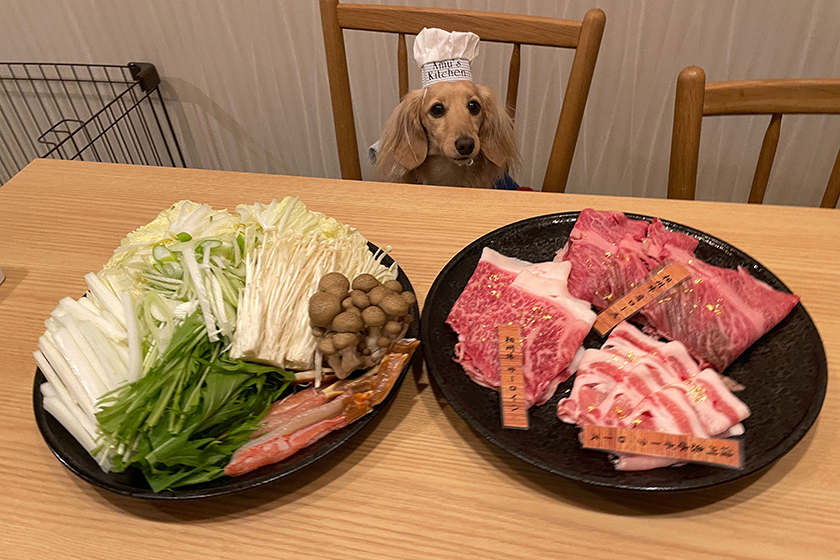 箱根で犬と泊まれる宿を探すときのチェックポイント