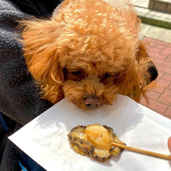 グルメを唸らせる！ジューシーな海鮮串『徳造丸 海鮮家 箱根湯本駅前店』