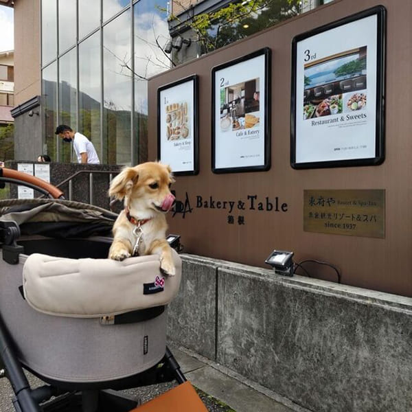ランチタイムに最適！芦ノ湖を眺めながら美味なパンを頂こう『Bakery＆Tabke箱根』