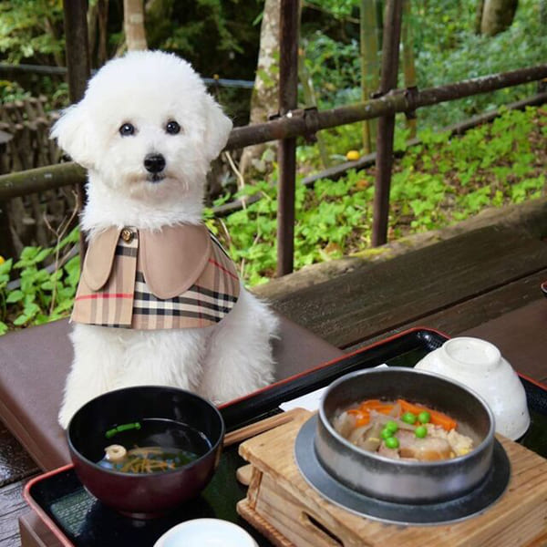 季節を彩る自慢の釜めし＆わっぱ飯『ごはんと板前料理 銀の穂』