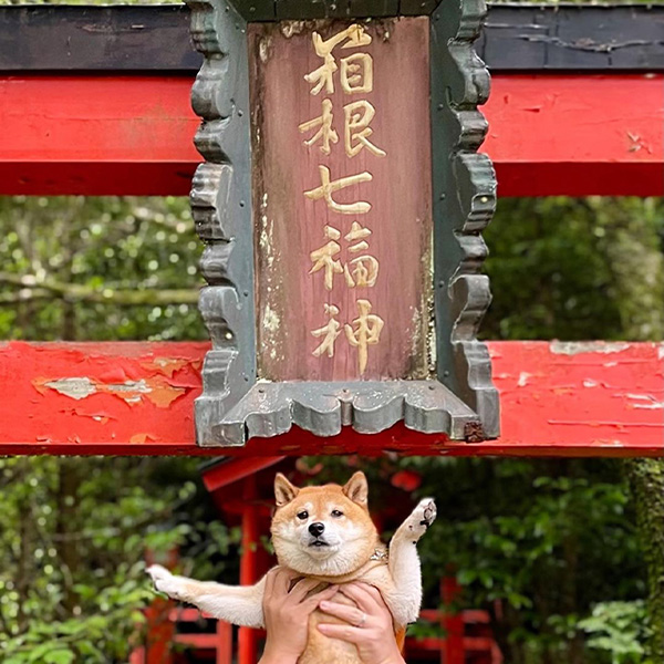 箱根七福神 恵比寿杜の鳥居と記念撮影