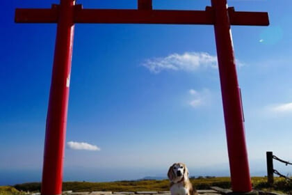 箱根元宮でワンショット