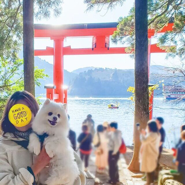 九頭龍神社で飼い主さんとパシャリ