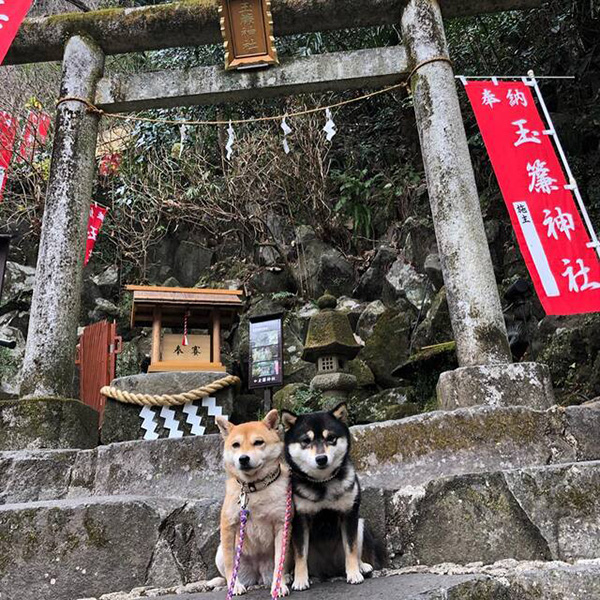 玉簾神社の鳥居の前でツーショット