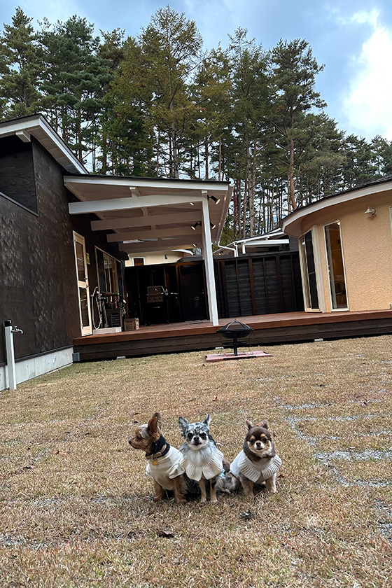 犬友と3匹で写真にうつるぴの